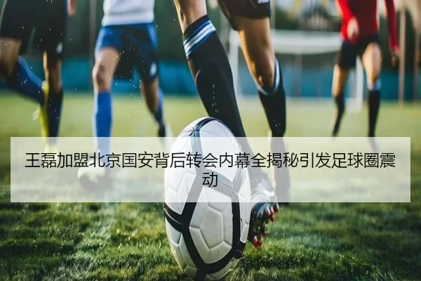 王磊加盟北京国安背后转会内幕全揭秘引发足球圈震动