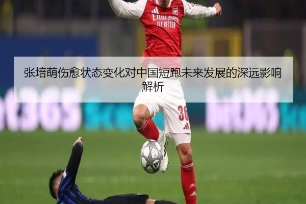 张培萌伤愈状态变化对中国短跑未来发展的深远影响解析